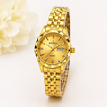 WA-20--Bingong Ladies Gold-Tone Luxury Quartz Watch 28mm Date Luminous Water Resistant